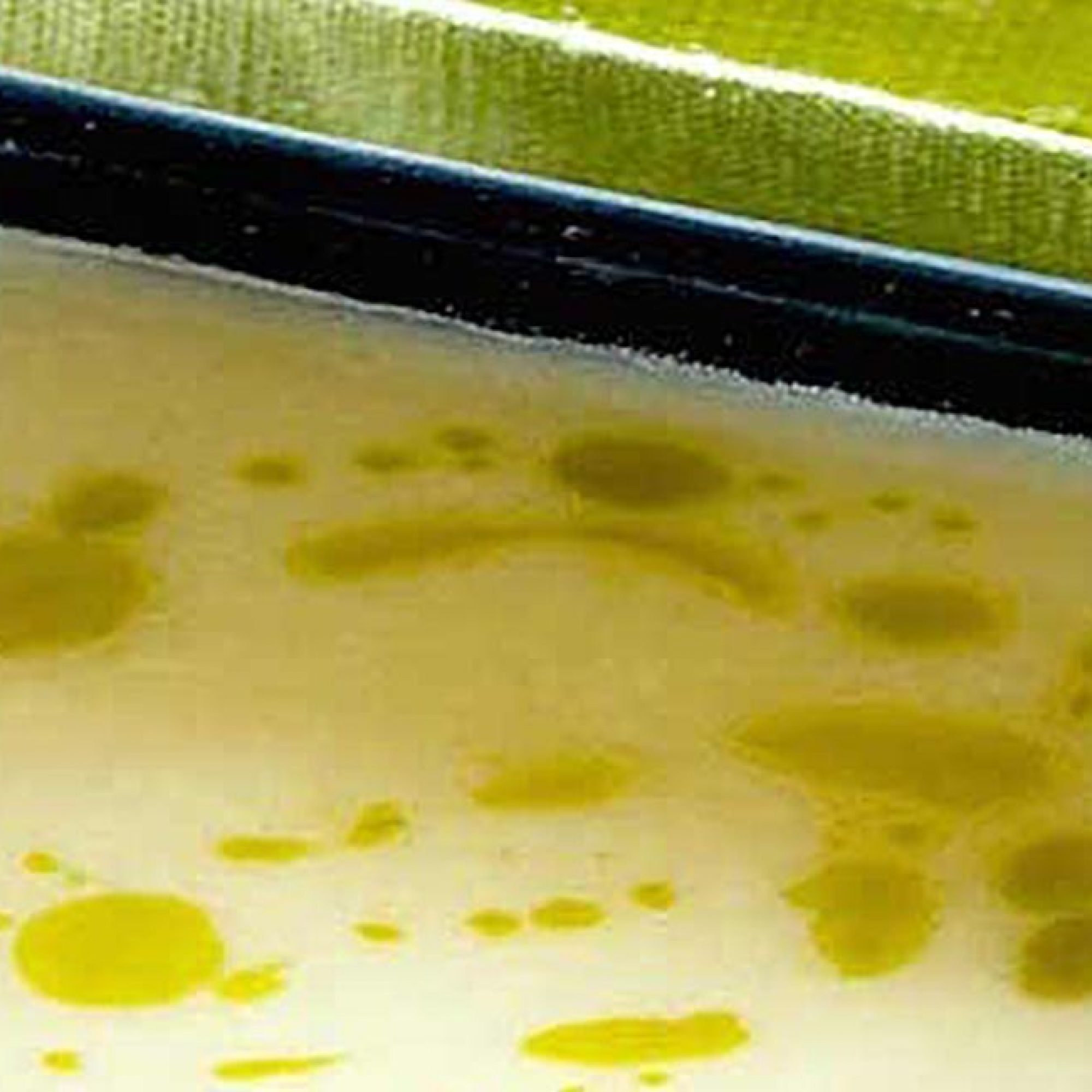 Artichoke Soup Recipe