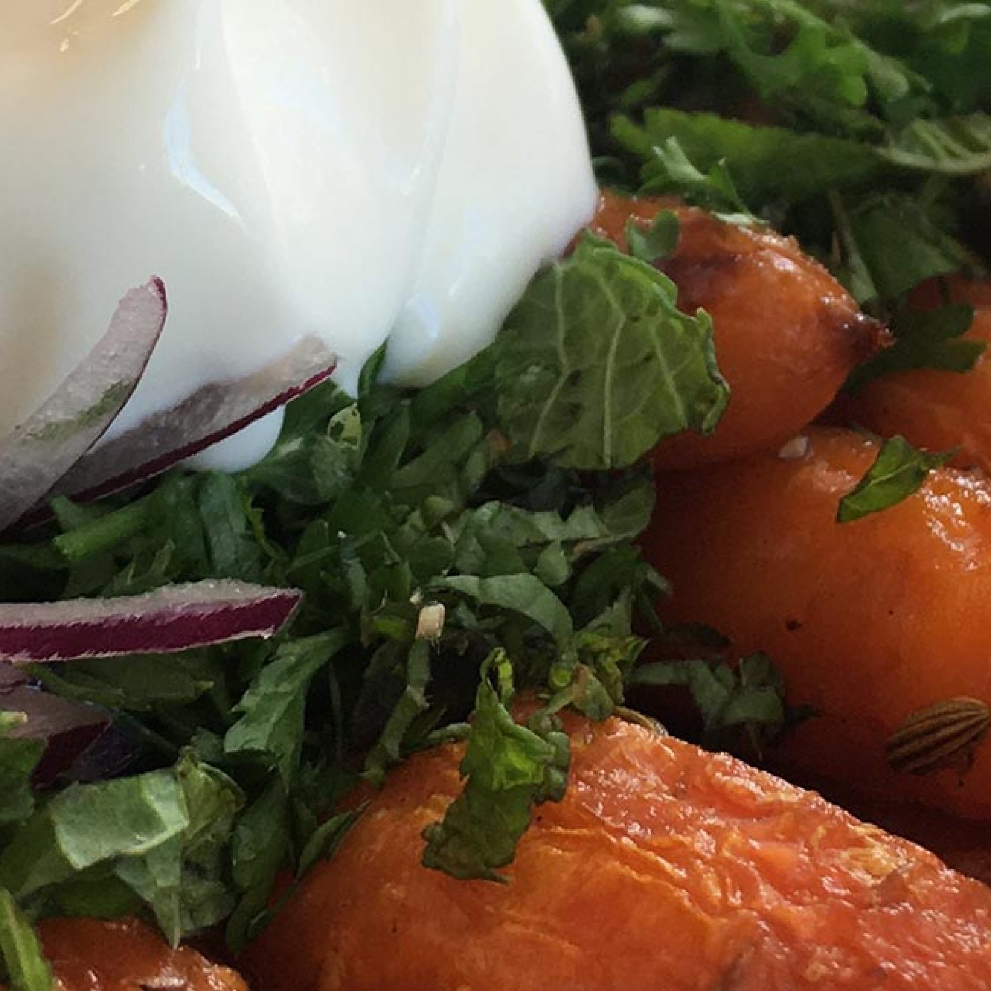 Carrots and Herbs with Labneh