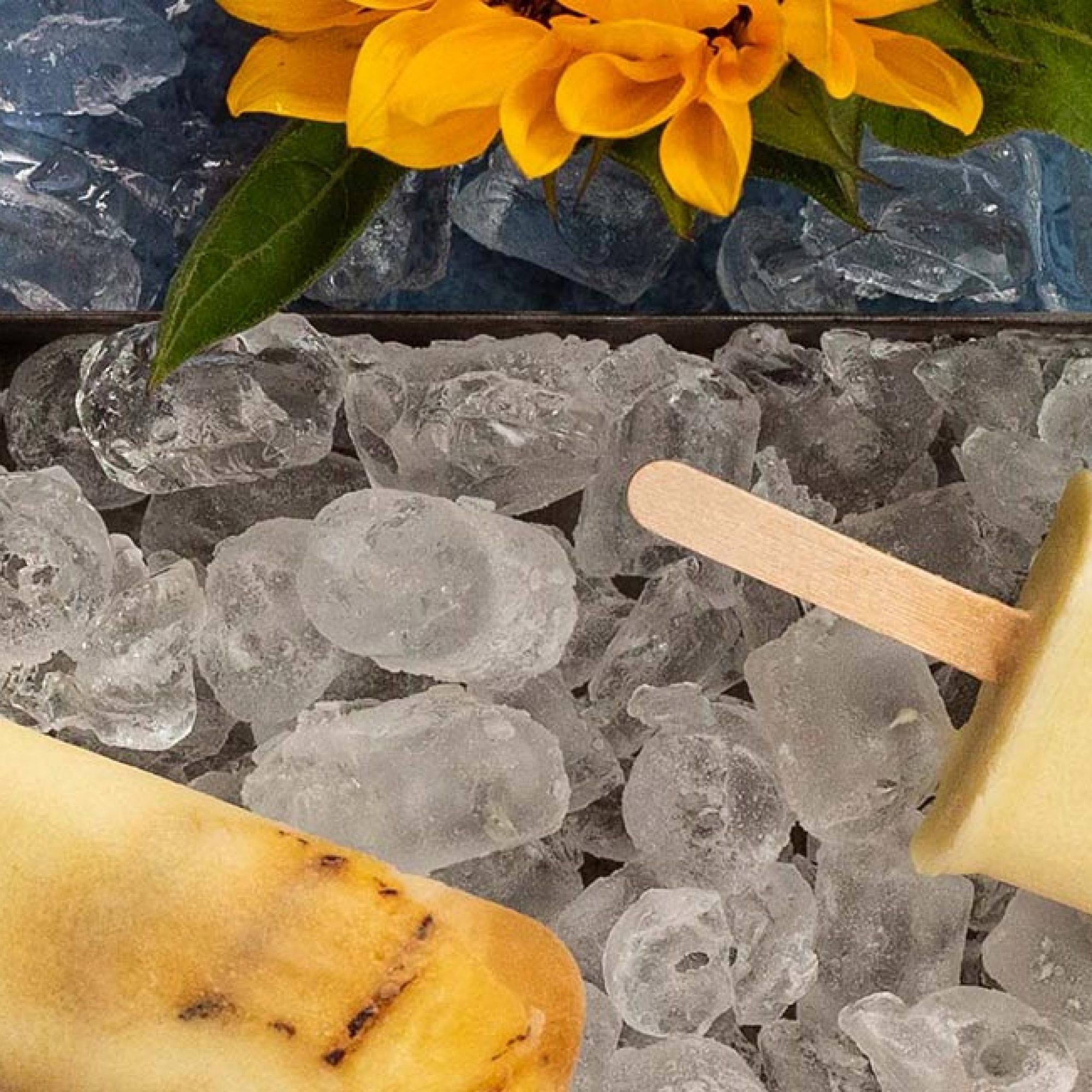 Grilled Pineapple & Coconut Popsicles