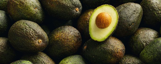 Buy avocado oil in bulk